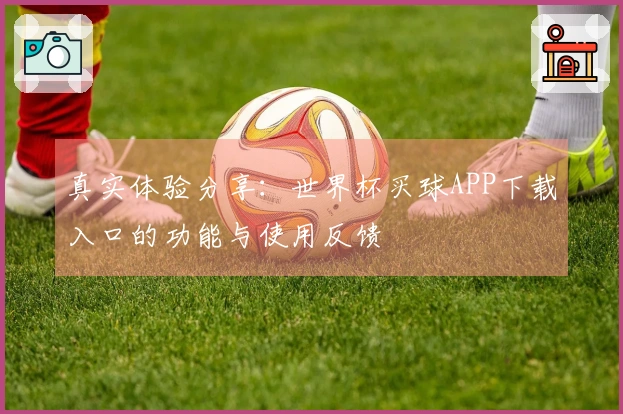 真实体验分享：世界杯买球APP下载入口的功能与使用反馈