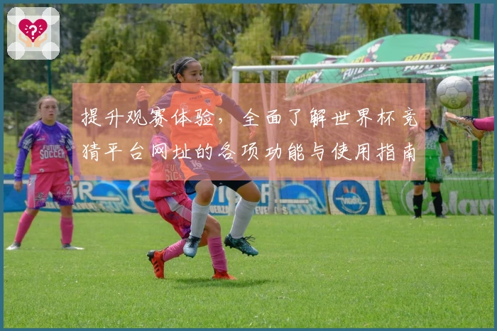 提升观赛体验，全面了解世界杯竞猜平台网址的各项功能与使用指南