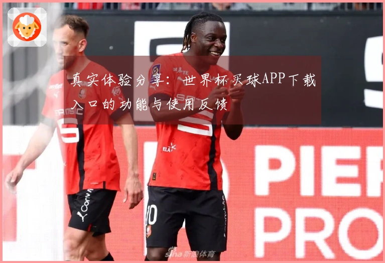 真实体验分享：世界杯买球APP下载入口的功能与使用反馈