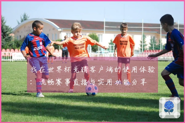 我在世界杯竞猜客户端的使用体验：流畅赛事直播与实用功能分享